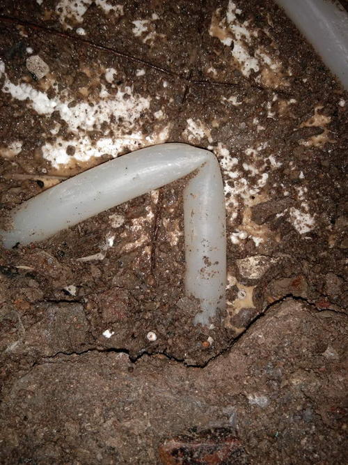 招远堵点精准查找